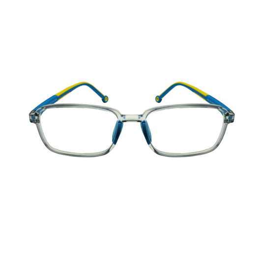 BLR 2230 C7 (Medium Size Eyewear)