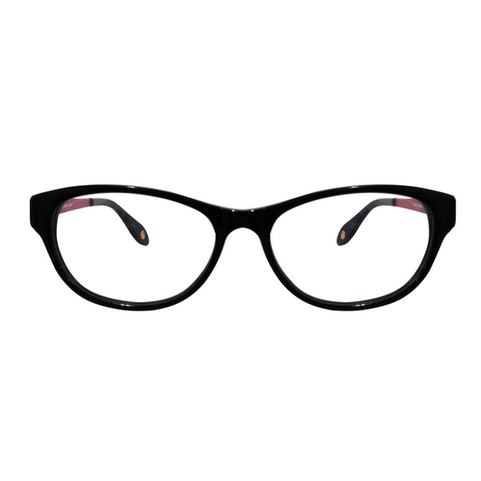 FYSH 3484 (Medium Size Eyewear)