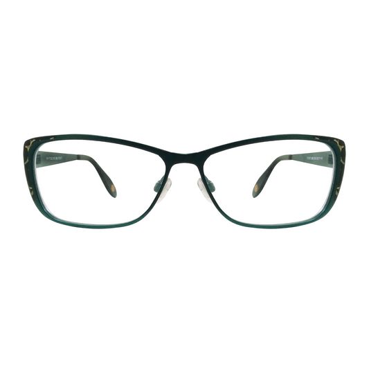 FYSH 3573 (Medium Size Eyewear)